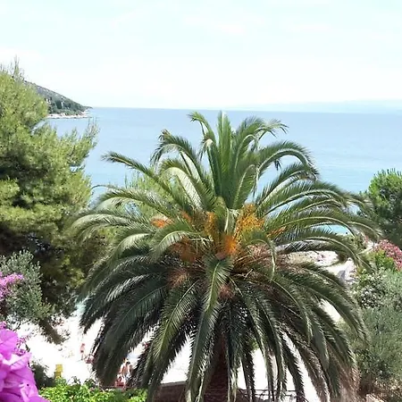 Near Sea