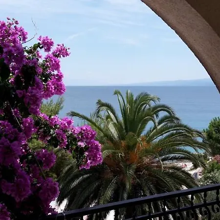 Guest house Near Sea