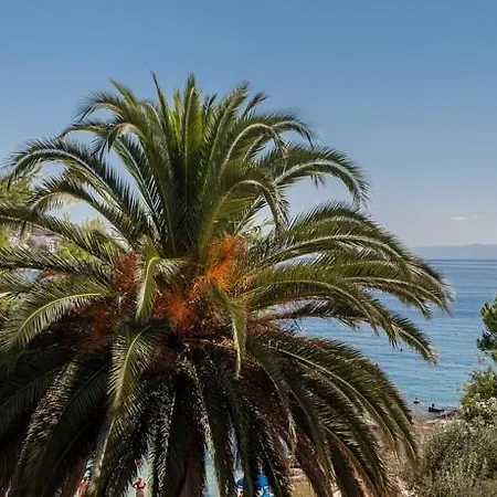 Near Sea Guest house *